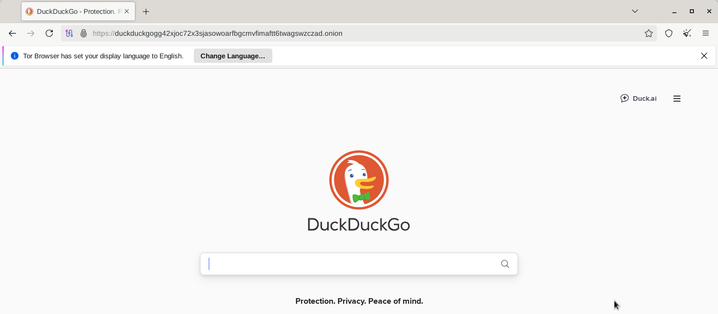 Fig. Navegar a DuckDuckGo