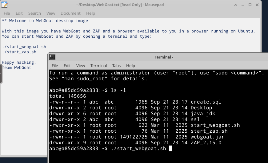 Fig. OWASP WebGoat start